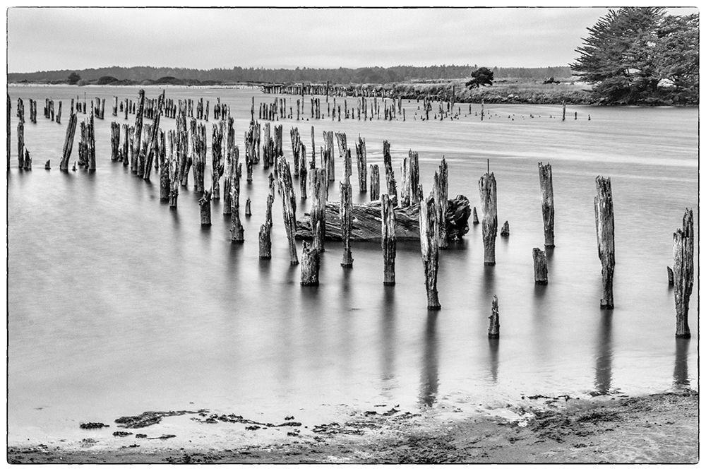 Usa-Oregon-Bandon Bandon Pier-Long Exposure